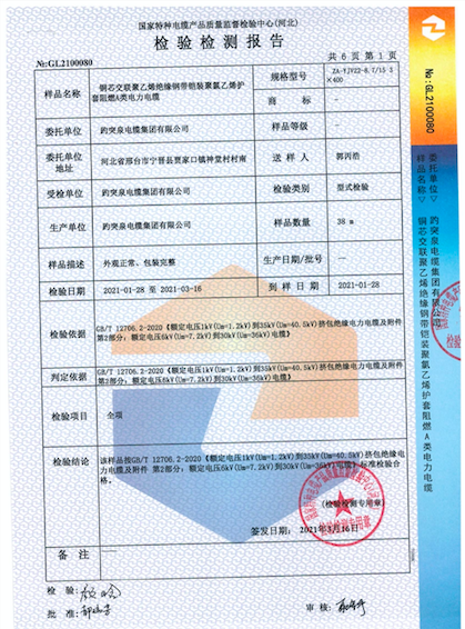 檢測報告