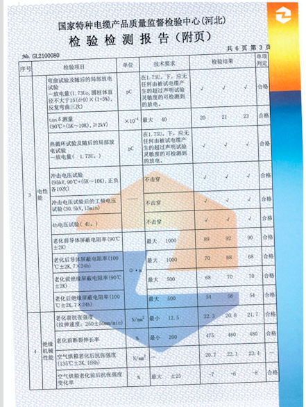 檢測報告